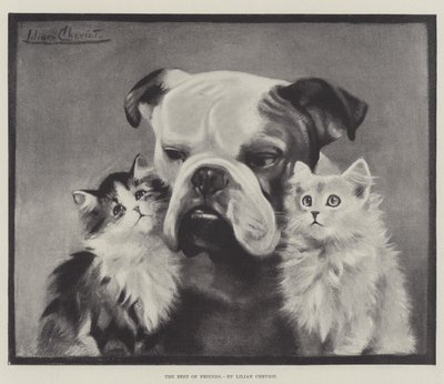 Die besten Freunde von Lilian Cheviot